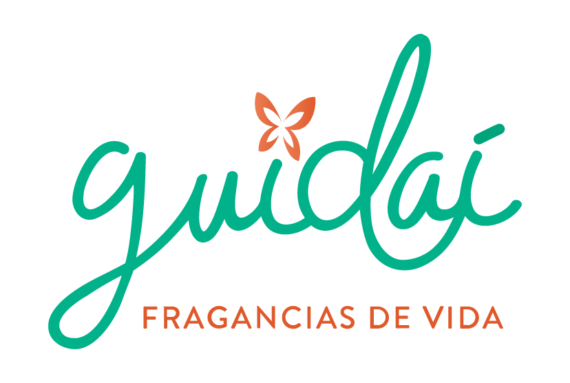 logo_guidai
